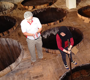 ガイドによる丁寧な説明