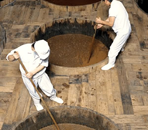 迫力の杉樽擢入れ