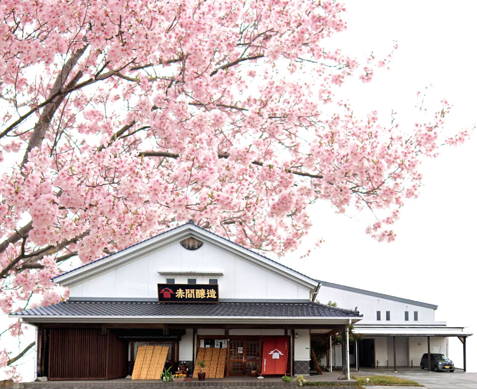 赤間醸造 株式会社