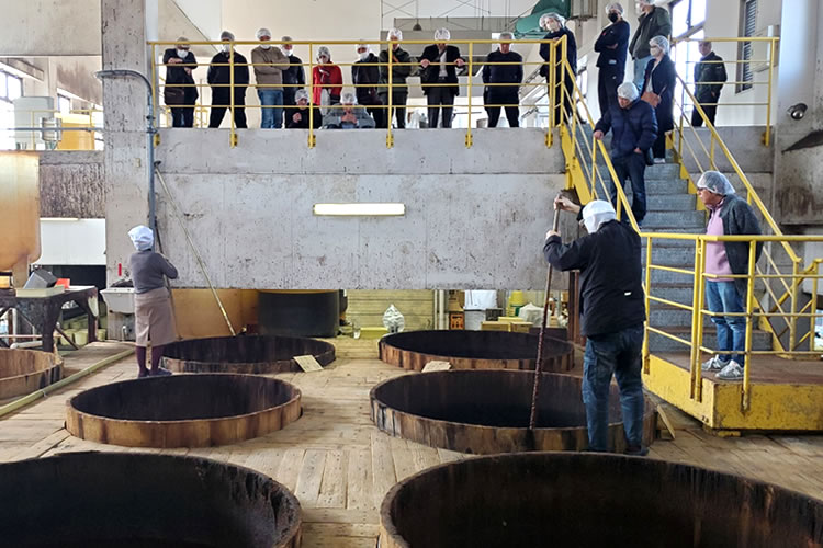 ガイドによる丁寧な説明