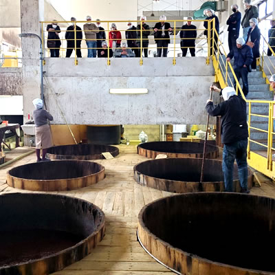 赤間醸造 蔵元見学体験