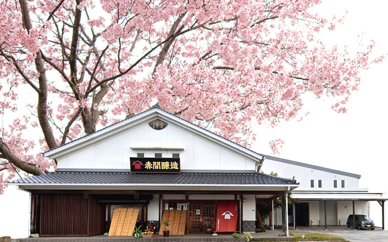 赤間醸造 蔵元見学